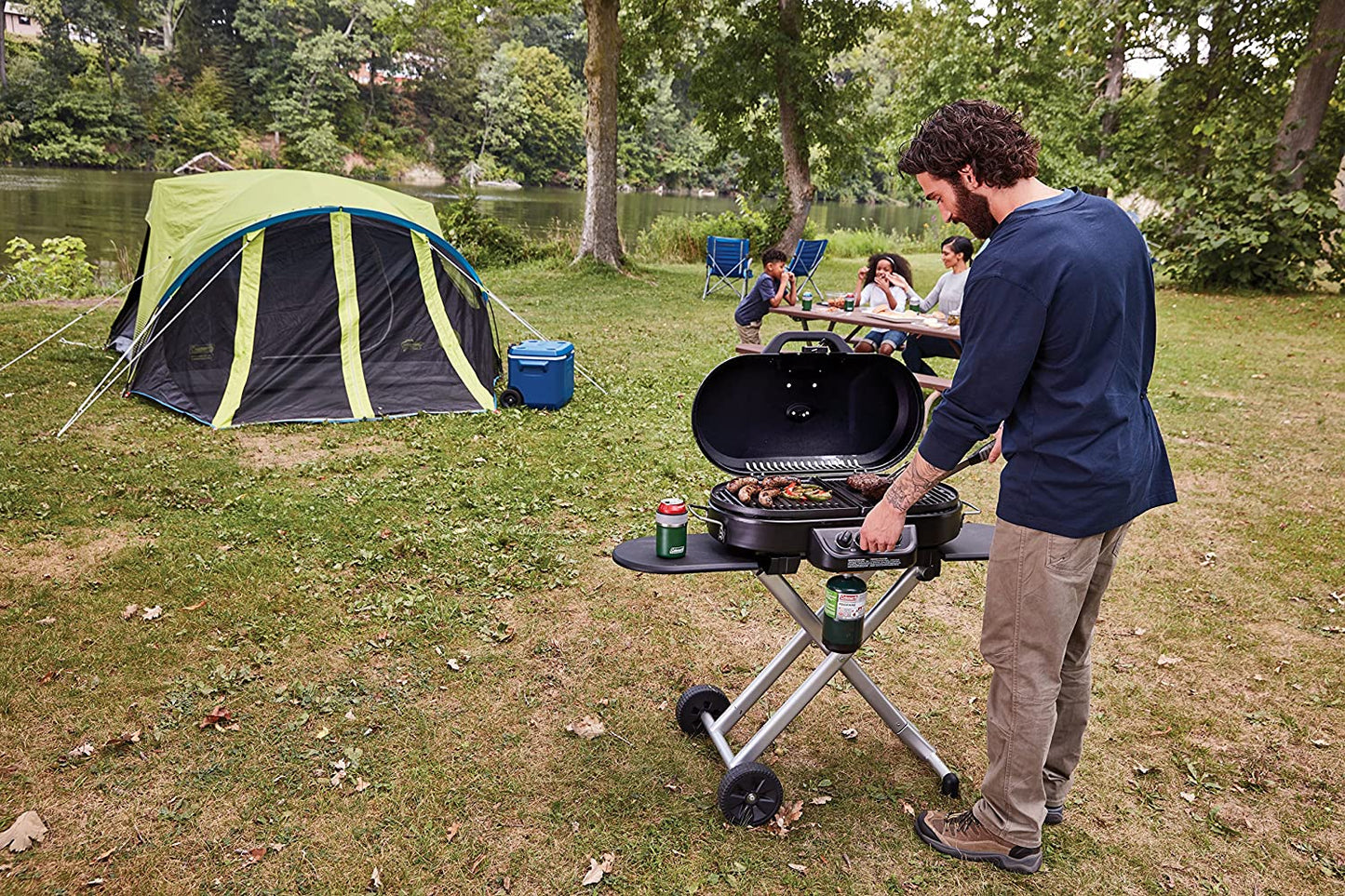 Gas Grill Portable Propane Grill Roadtrip